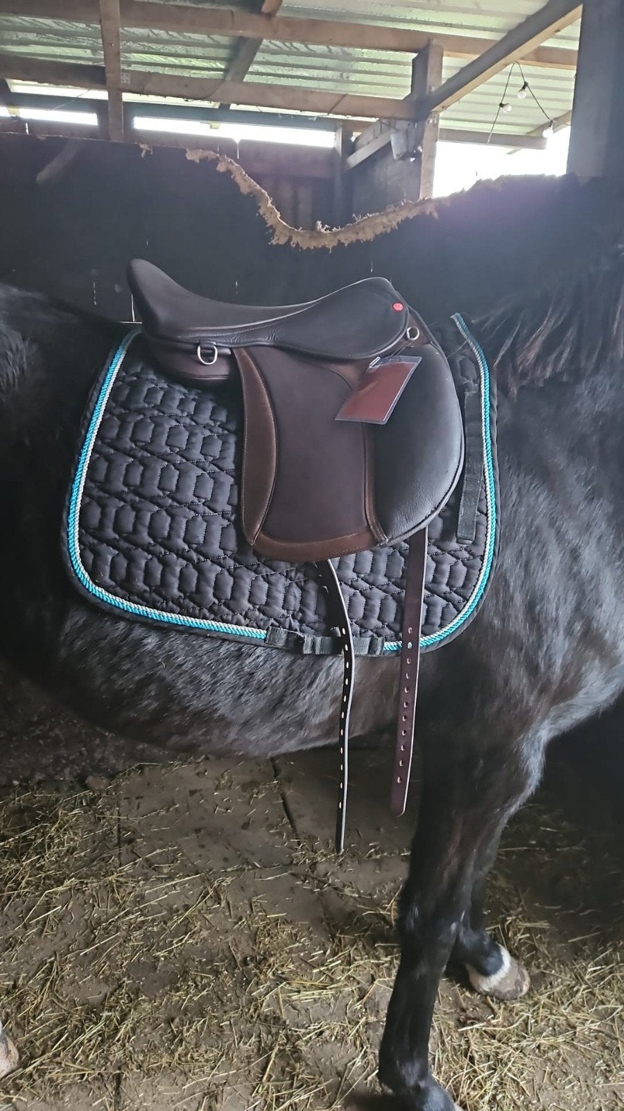 Edix Tudor 16,5 inch Trail mode, Dieren en Toebehoren, Paarden en Pony's | Zadels, Aanpassysteem, Ophalen of Verzenden, Zo goed als nieuw