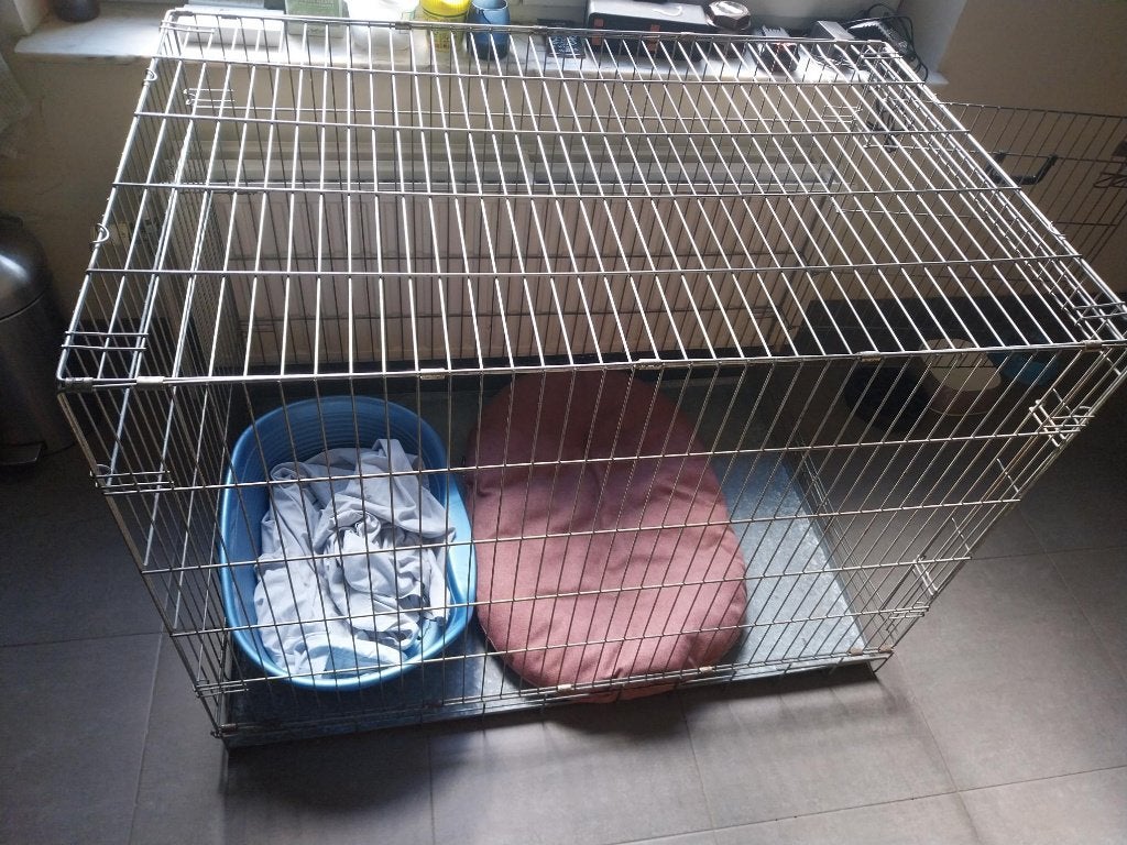 cage pour chien, Autres marques, Enlèvement, Utilisé, Enclos pour chien