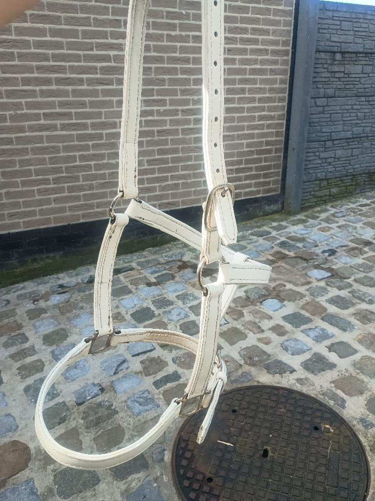 Licol cheval de trait, Enlèvement, Comme neuf, Récréation