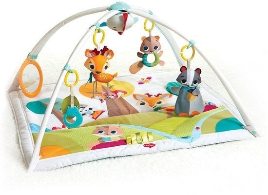 Speelmat Tiny Love, Kinderen en Baby's, Ophalen