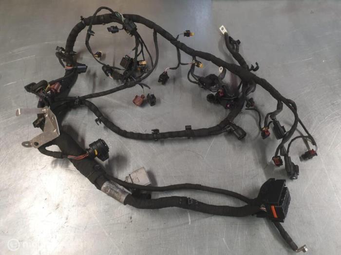 Faisceau de câbles compartiment moteur d'un Audi RS3, -, 3 mois de garantie, Audi, Utilisé