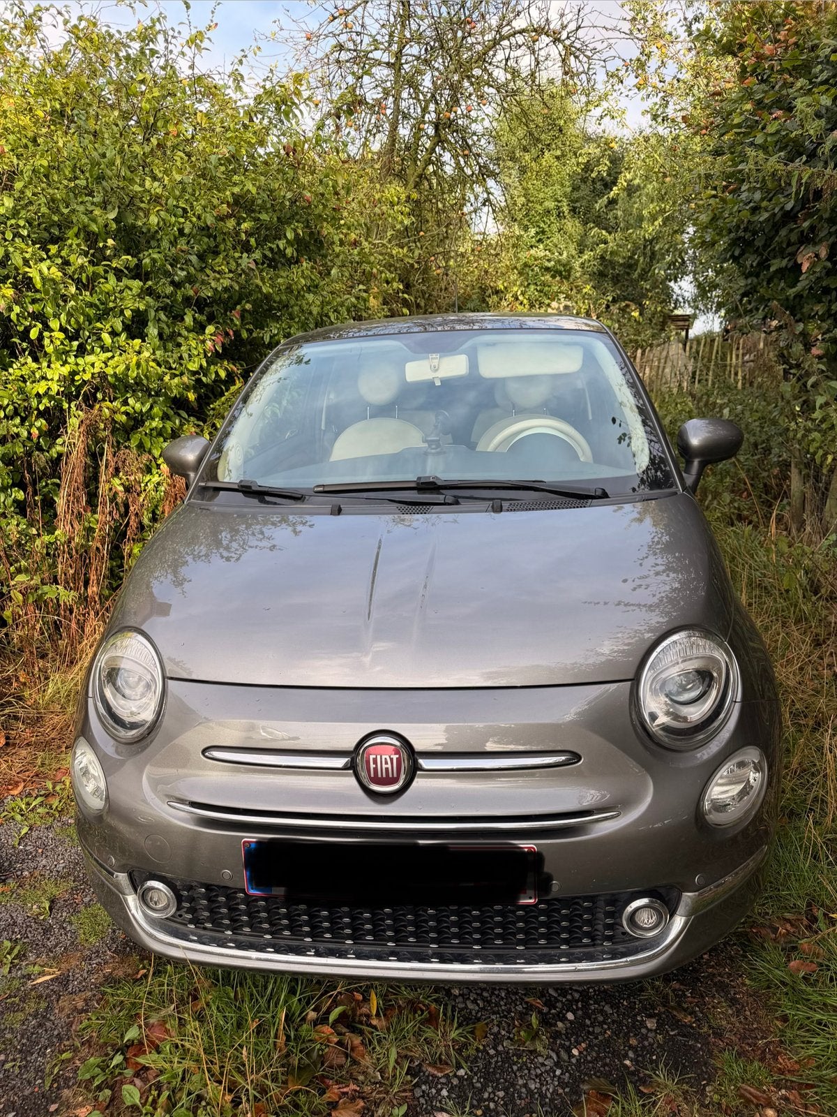 Fiat 500, Autos, Fiat, Argent ou Gris, Achat, 2 portes, Particulier