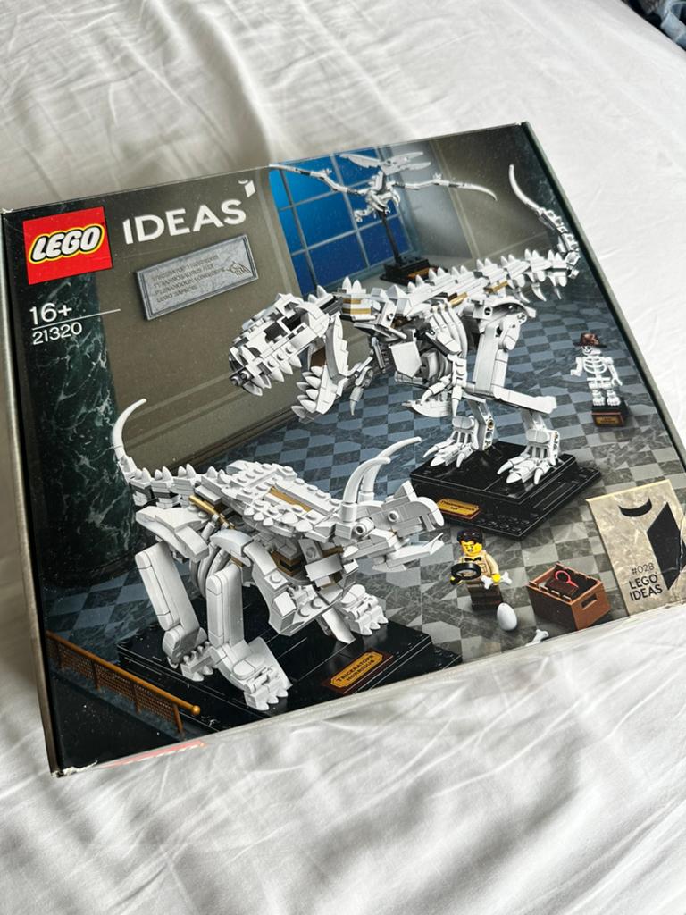 Lego Ideas 21320, Kinderen en Baby's, Speelgoed | Duplo en Lego, Ophalen, Lego, Compleet, Ideas