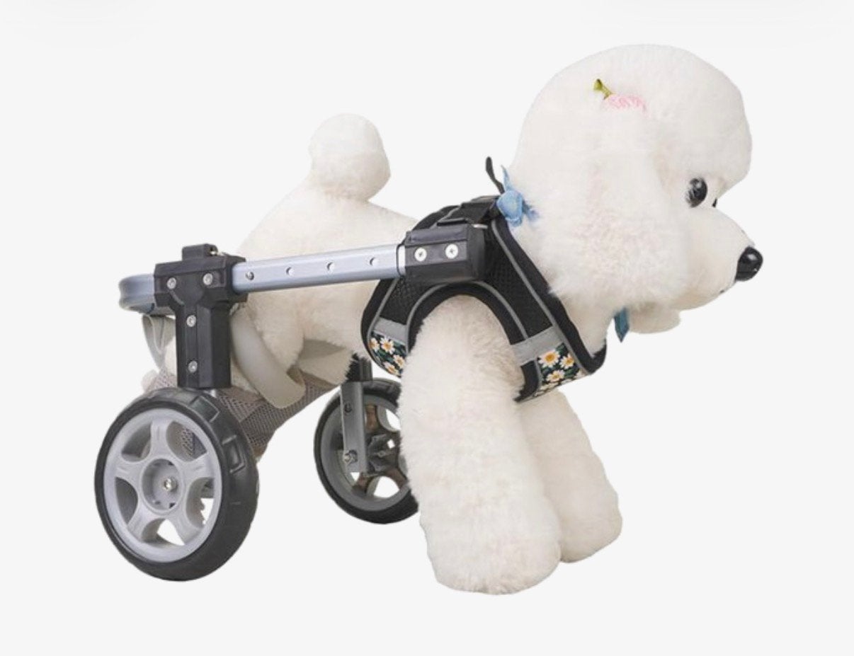 Hondenrolstoel/mobiliteitshulp (Small), Dieren en Toebehoren, Ophalen, Nieuw