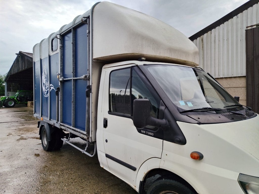 handige, betaalbare Ford Transit 2-paards paardencamionette, Dieren en Toebehoren, Paarden en Pony's | Trailers en Aanhangwagens