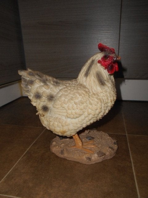 Belle image - poulet, Enlèvement ou Envoi, Comme neuf, Synthétique, Animal