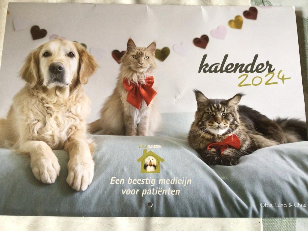 Villa Samson kalender 2024 Verbiest Studio 100 of Gaia, Verzamelen, Ophalen of Verzenden