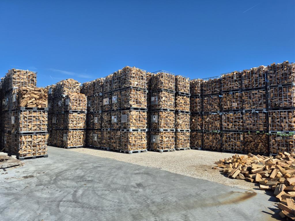 BRANDHOUT Eik en Beuk uit de stam, Diversen, Ophalen of Verzenden
