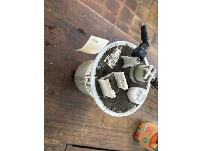 Pompe essence d'un Kia Picanto, Enlèvement ou Envoi, 3 mois de garantie, Utilisé