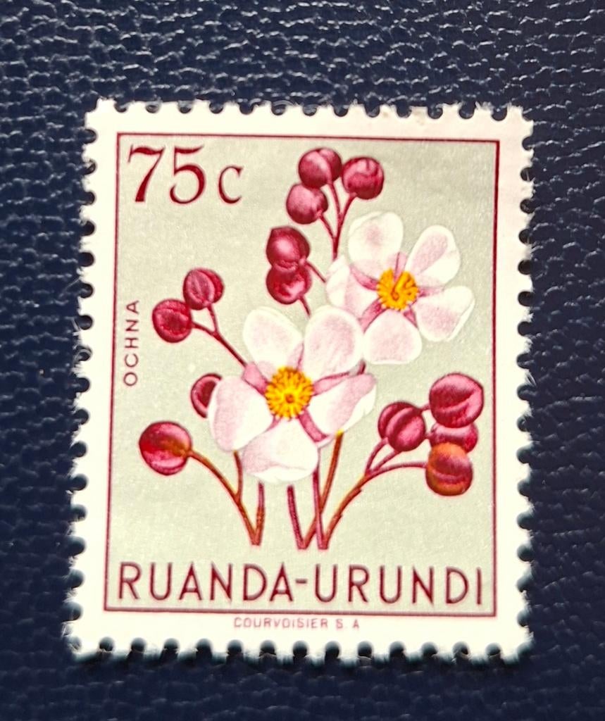 Postzegel Ruanda-Urundi OBP 184*, Ophalen of Verzenden