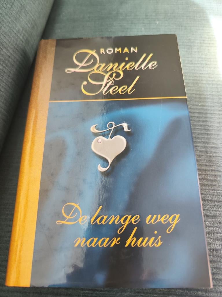 De Lange weg naar huis Daniëlle Steel, Ophalen of Verzenden, Gelezen