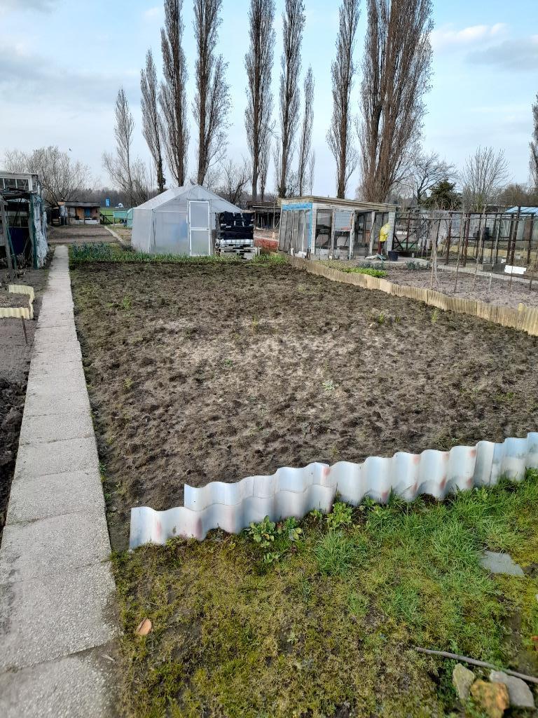 Wie heeft er grond te huur om te gebruiken als moestuin, Immo