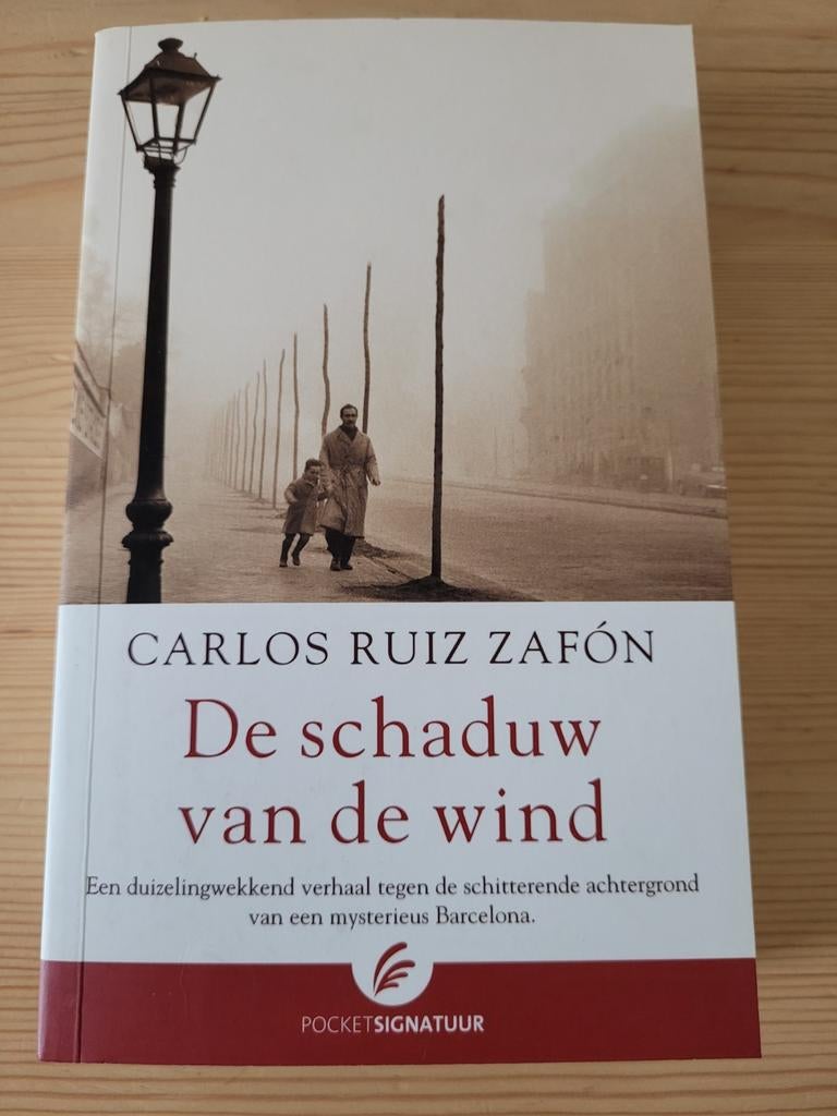 Carlos Ruiz Zafón - De schaduw van de wind, Ophalen of Verzenden, Zo goed als nieuw, Carlos Ruiz Zafón