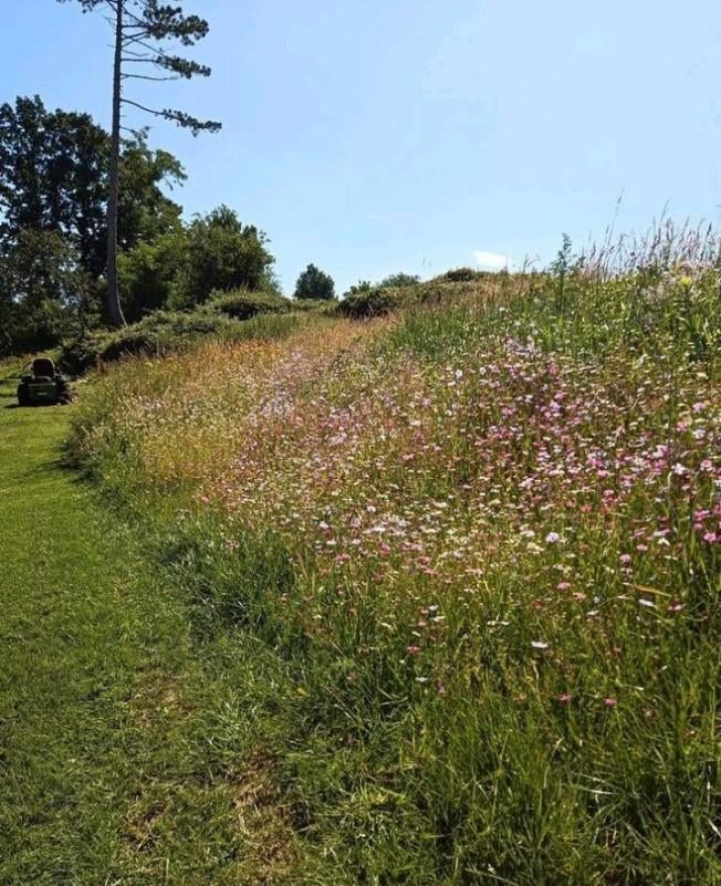 Tuin aanleg en onderhoud, Garantie, Tuin- of Vijveraanleg