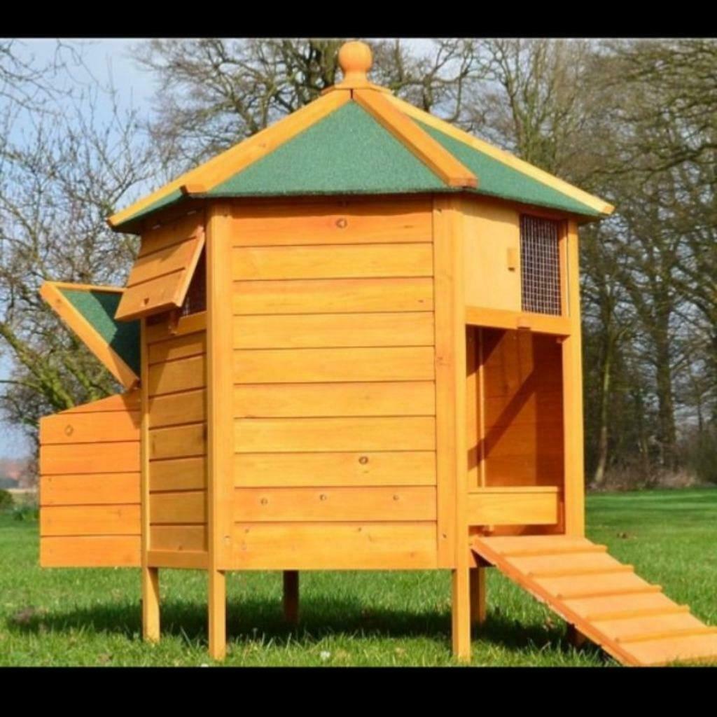Poulailler XXL abri poule maison poule cabane poule coq NEUF, Envoi, Neuf, Poulailler
