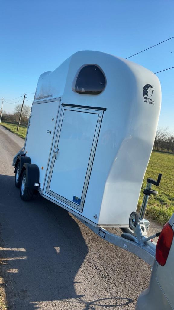 Location Van Chevaux, Élevage, 2 ou 3 chevaux ou poneys