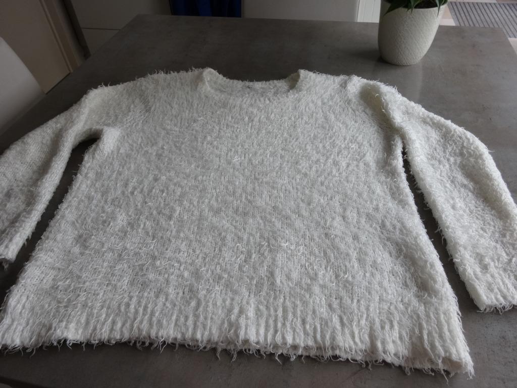 Truitje dames, Ophalen of Verzenden, Gedragen, Maat 38/40 (M), Wit