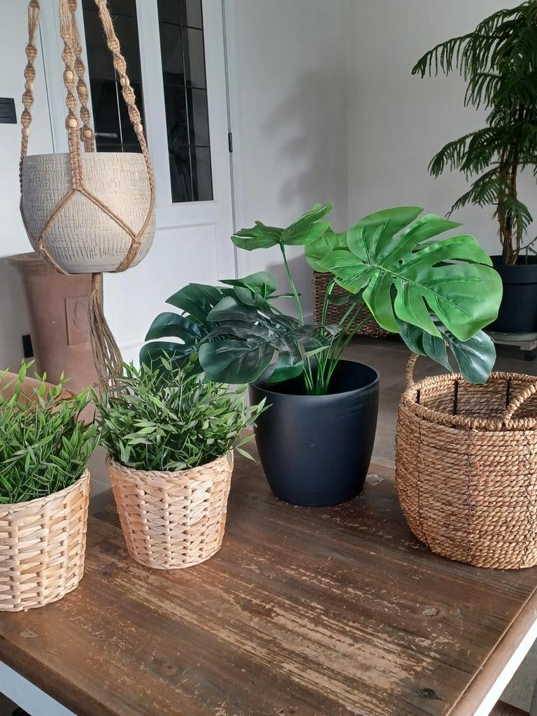 Lot bloempotten met plastic planten, Ophalen