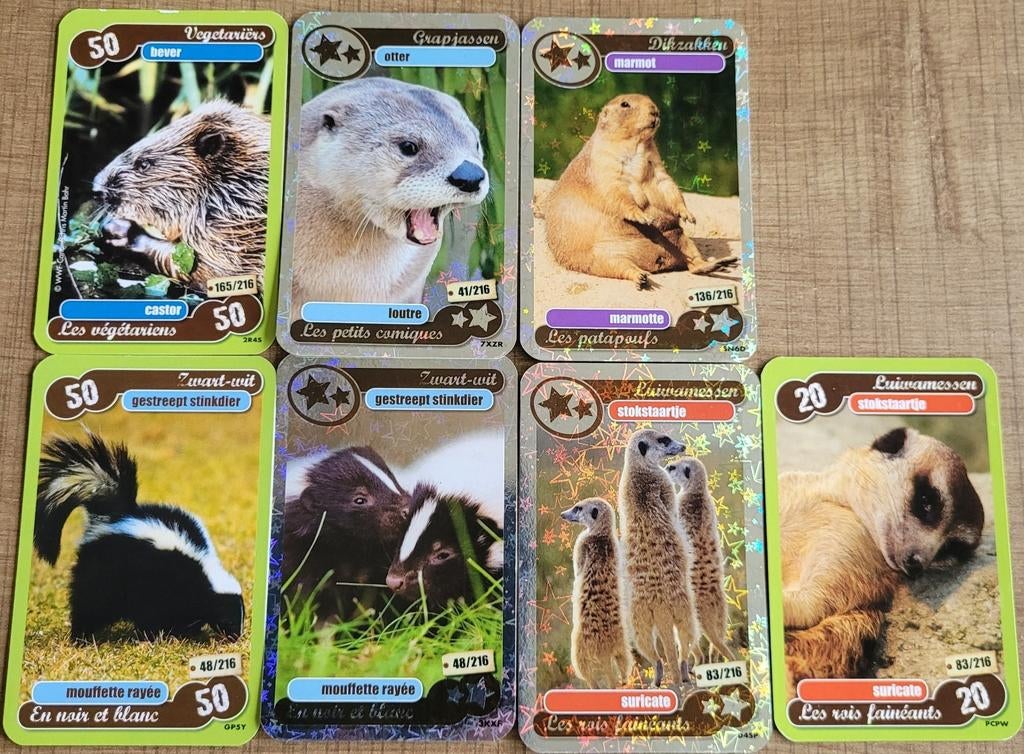 7 fotokaarten: bever, otter, marmot, stindier,.., 1980 tot heden, Ophalen of Verzenden, Zo goed als nieuw, Dier