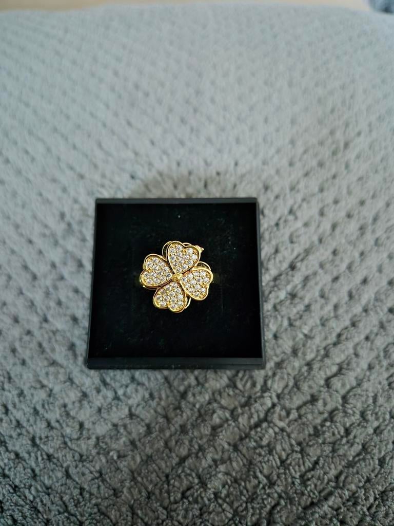 Nieuwe ring in stainless steel, Bijoux, Sacs & Beauté, Bagues, Neuf, Enlèvement ou Envoi, Femme, Fer ou Acier