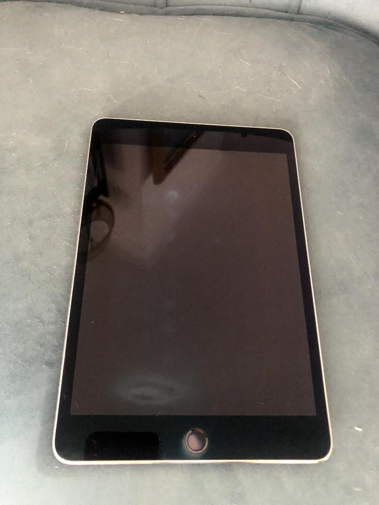 iPad mini 4_16Go, Computers en Software, Apple iPads, Zo goed als nieuw, Apple iPad Mini, Wi-Fi, 9 inch, 16 GB, Grijs, Ophalen