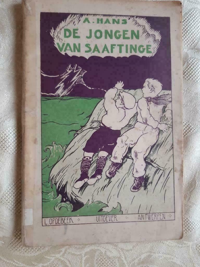 Boek "De jongen van Saaftinge ", Ophalen of Verzenden, Gelezen, Nederland