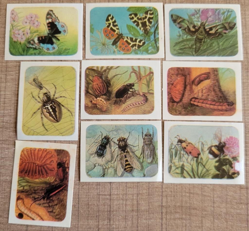 9 kleine prentjes: vlinders en insecten, Verzamelen, Ophalen of Verzenden, Gebruikt, Dier, Prent