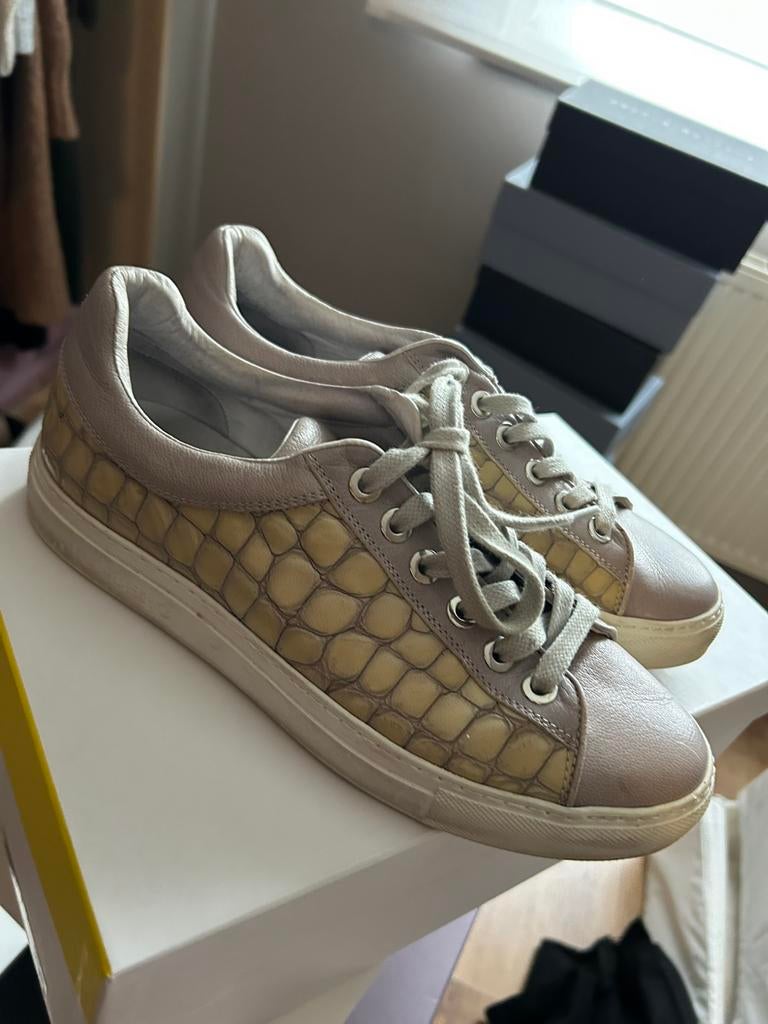 Iceberg shoes, Kleding | Heren, Ophalen, Gedragen, Sneakers