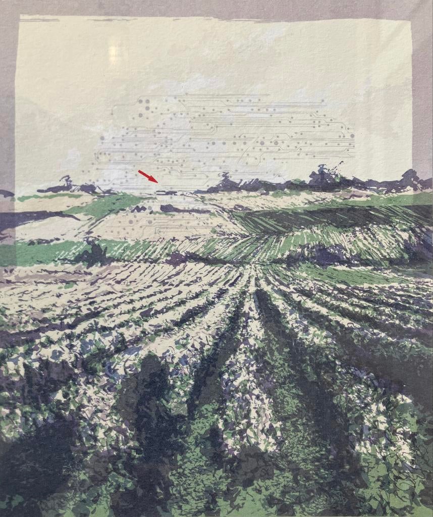 Zeefdruk Martin R. Baeyens (1943) Landschap, Antiek en Kunst, Ophalen of Verzenden