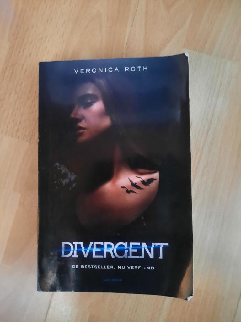 Veronica Roth - Divergent, Enlèvement ou Envoi, Veronica Roth