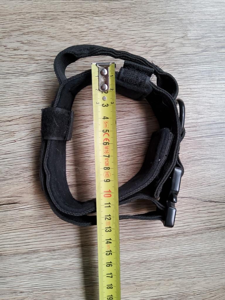 Collier pour chien, Enlèvement, Neuf