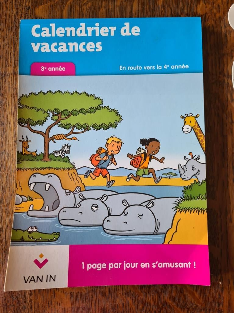 Cahier de vacances 3e année, Livres, Enlèvement ou Envoi, Comme neuf, Néerlandais
