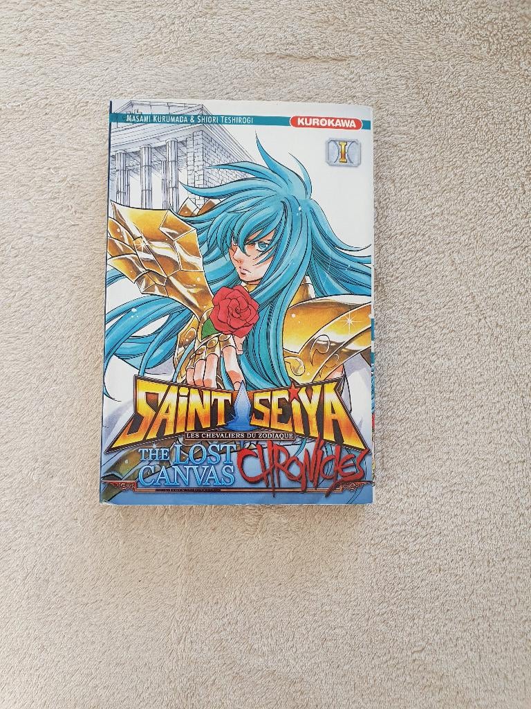 Manga Saint Seiya - The Lost Canvas Chronicles 1, Livres, Comics, Enlèvement, Utilisé, Japon (Manga)