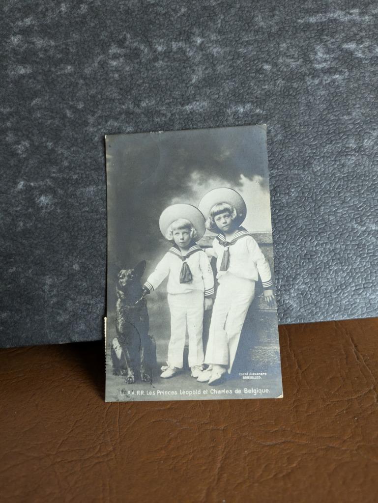 Prins Karel en prins Leopold, Ophalen of Verzenden, Zo goed als nieuw, Kaart, Foto of Prent
