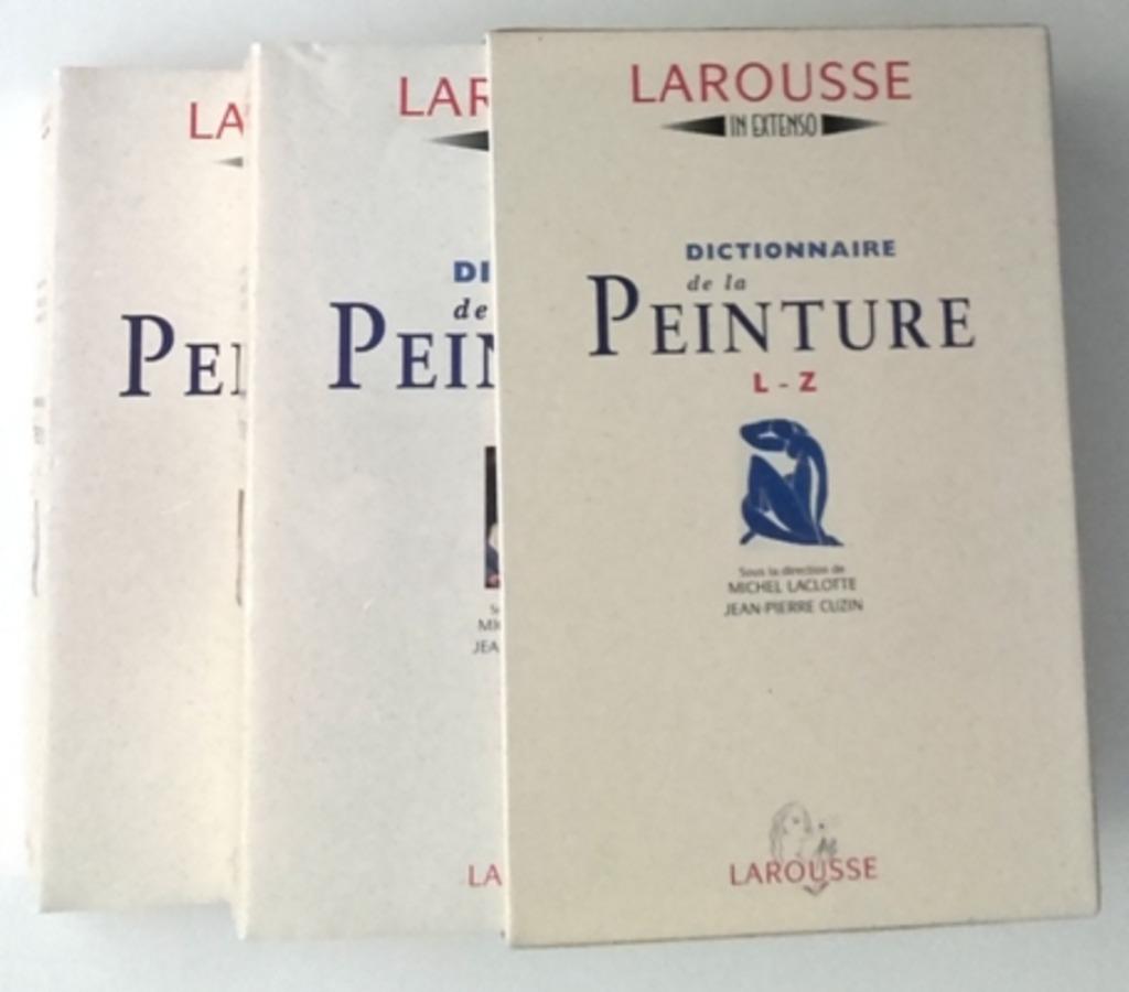 [Larousse] Dictionnaire de la Peinture - Schilderkunst, Enlèvement ou Envoi, Utilisé, Peinture et dessin