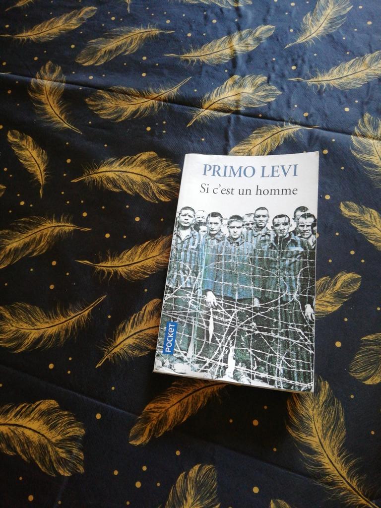 Primo Levi. Si c'est un homme., Ophalen of Verzenden, Zo goed als nieuw