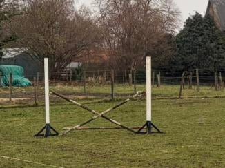 Springstaanders, Dieren en Toebehoren, Ophalen