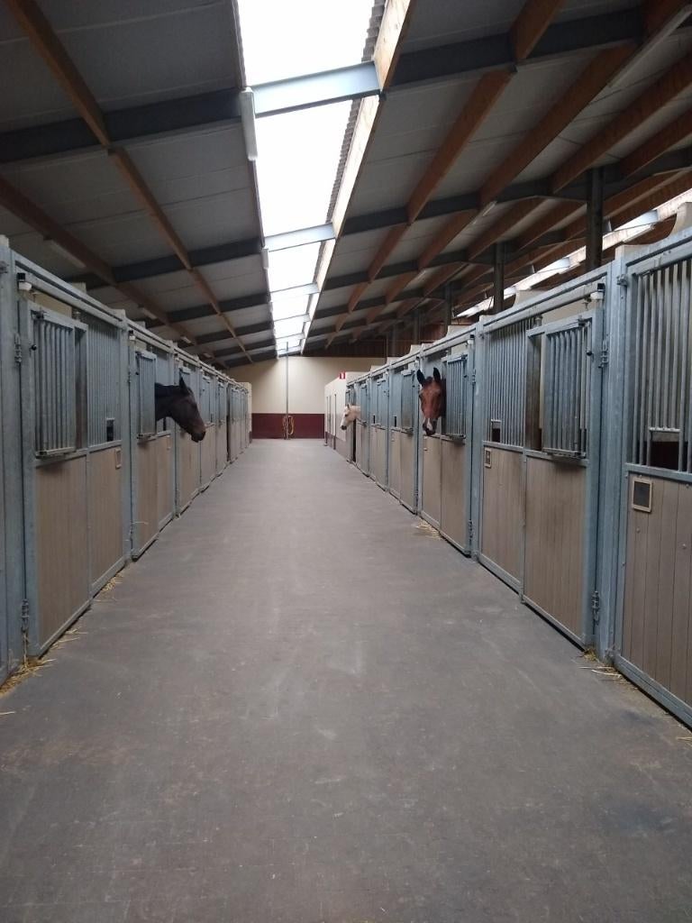 paardenstal te huur