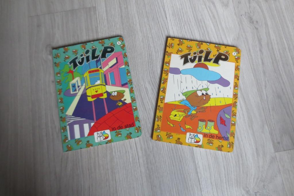 Boeken dik karton, Boeken, Ophalen of Verzenden, Gelezen