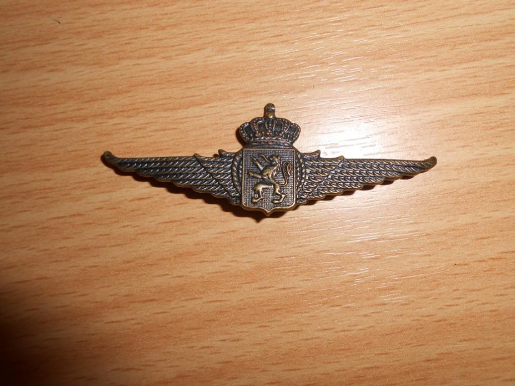 kenteken - bronzen vleugel voor baret, Luchtmacht, Verzamelen, Verzenden, Luchtmacht, Embleem of Badge