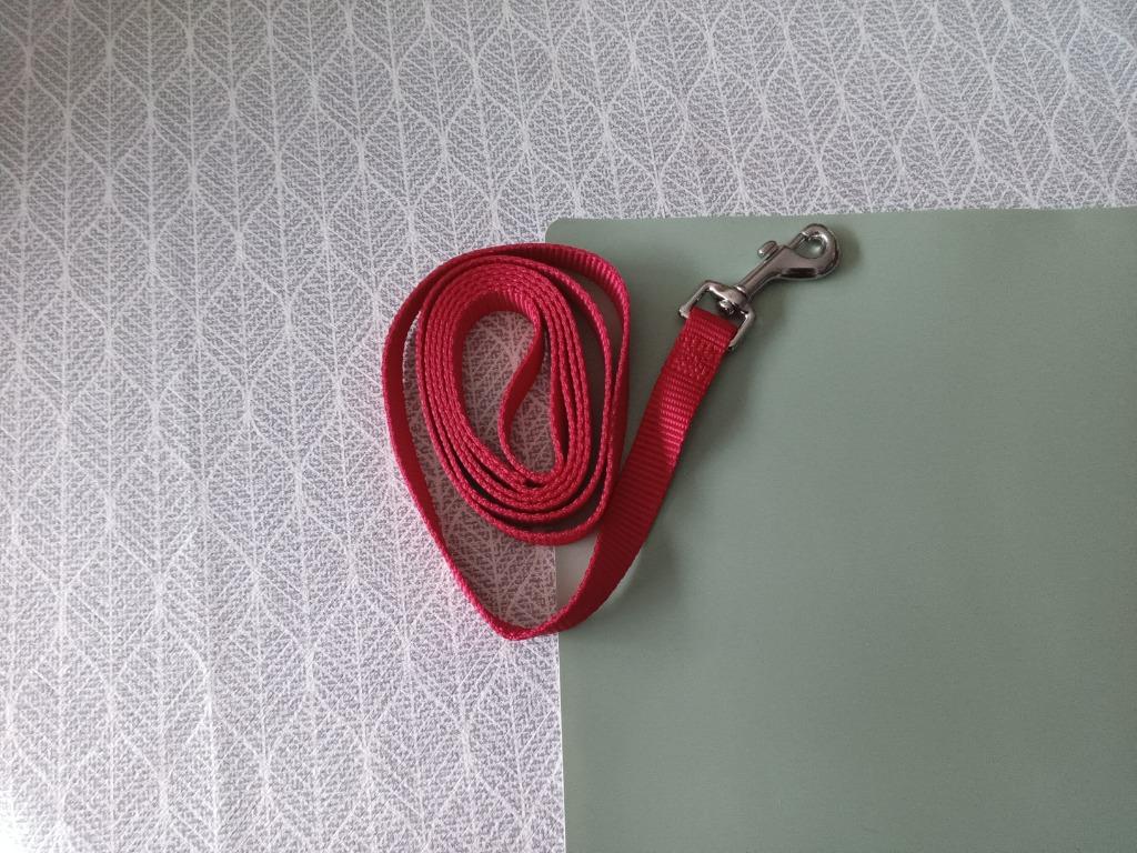 Leiband hond, Dieren en Toebehoren, Ophalen, Nieuw, Hondenriem