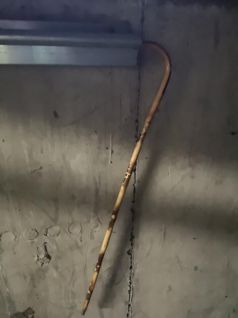 Wandelstok voor bruidsjongen, Ophalen of Verzenden