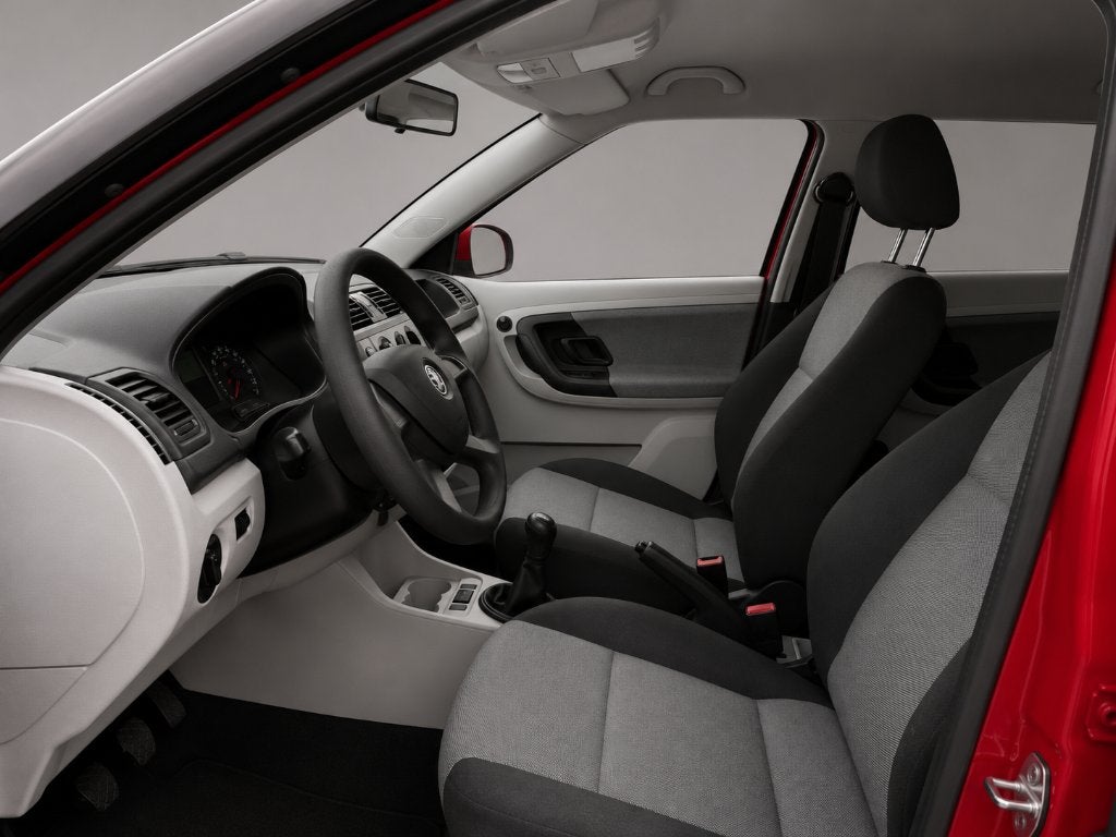 SKODA FABIA, Autos, Rouge, Euro 5, Achat, Entreprise