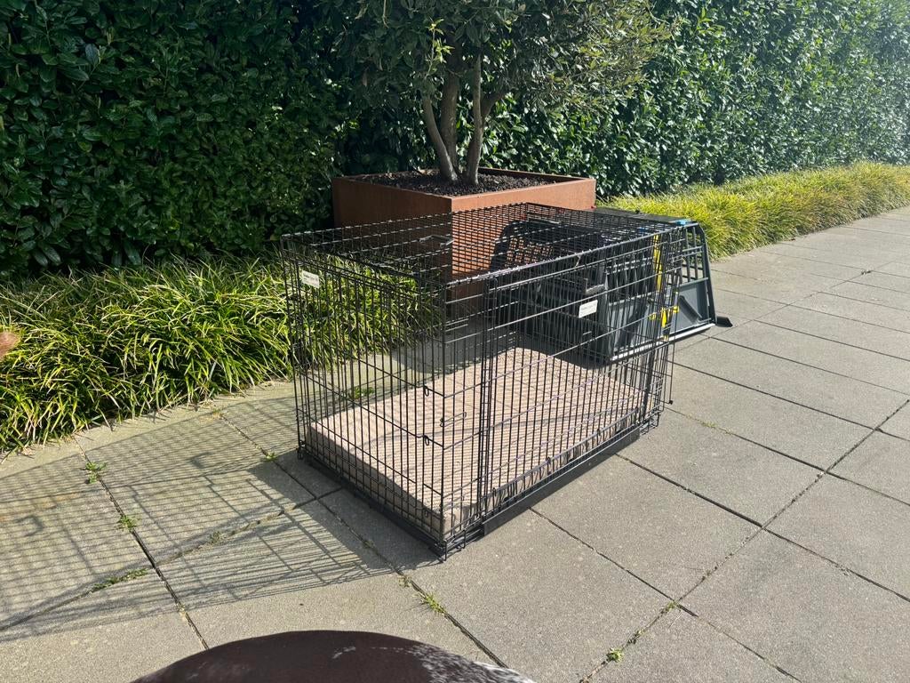 Binnen bench hond, Enlèvement, Comme neuf