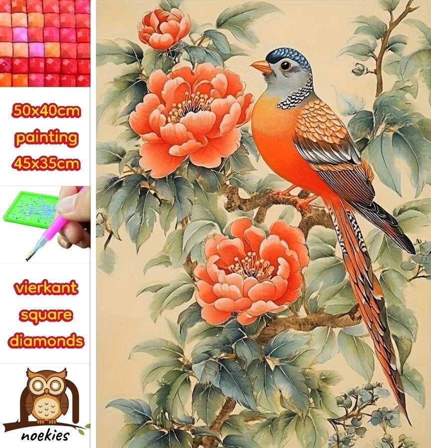 Peinture au diamant 50x40cm Oiseau sur branche (carré) n 6, Hobby & Loisirs créatifs, Bricolage, Neuf, Orange, Autocollant, Autres matériaux