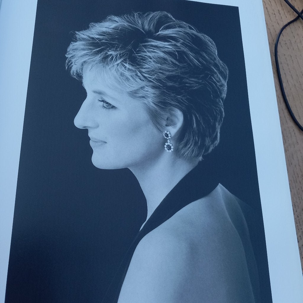 Fotoboek DIANA, PORTRET VAN EEN UNIEKE VROUW, Ophalen, Zo goed als nieuw, Overige onderwerpen