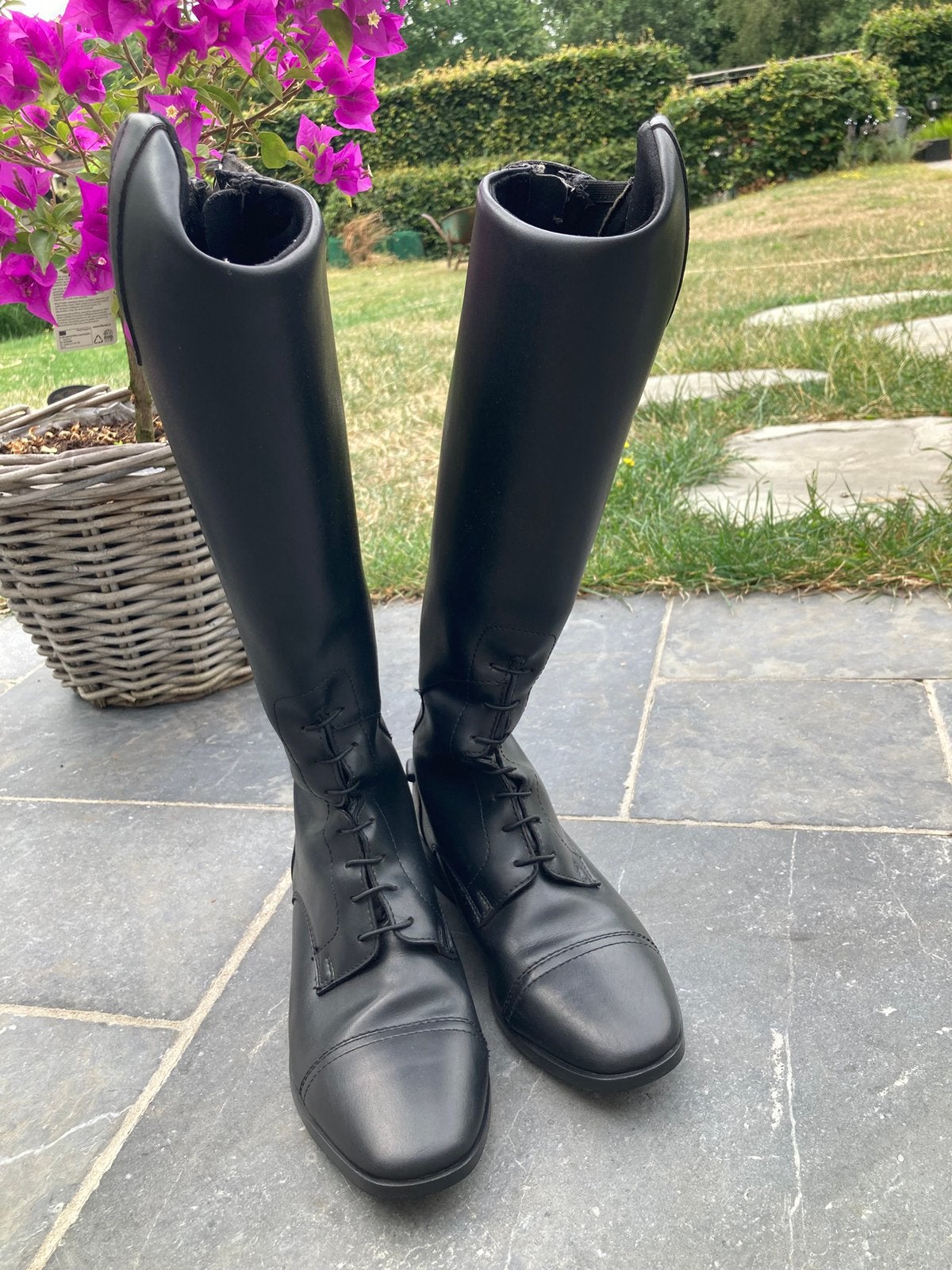 Rijlaarzen epplejeck maat 37, Dieren en Toebehoren, Paardrijkleding, Ophalen