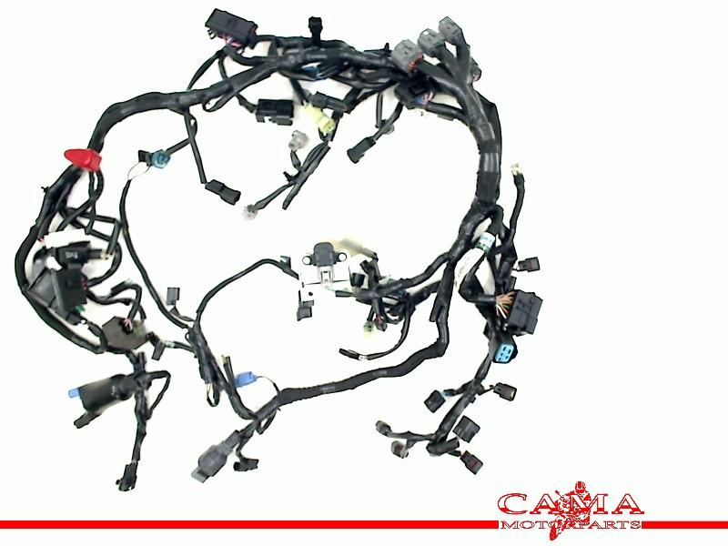 KABELBOOM Kawasaki Z 900 2017-2019 (Z900 ZR900) (260312288), Motoren, Onderdelen | Kawasaki, Gebruikt