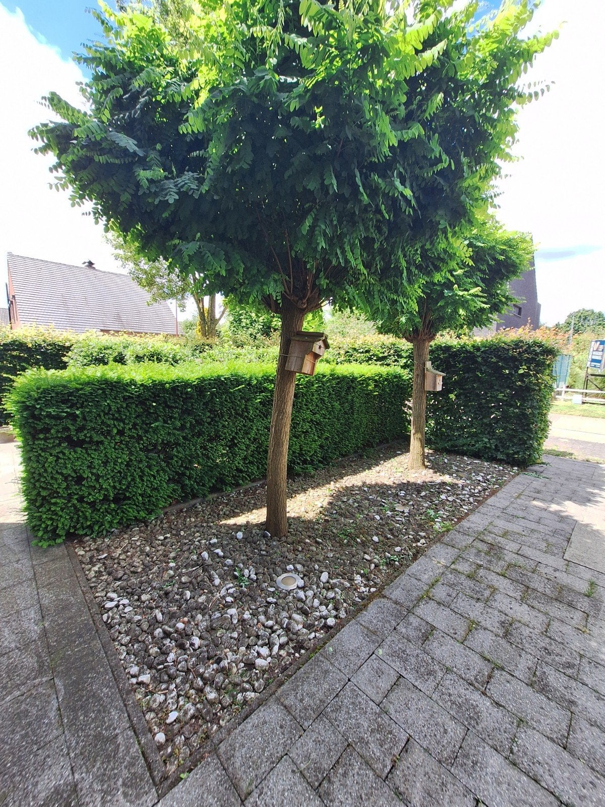 Stenen die onder de boom liggen in big bag, Ophalen