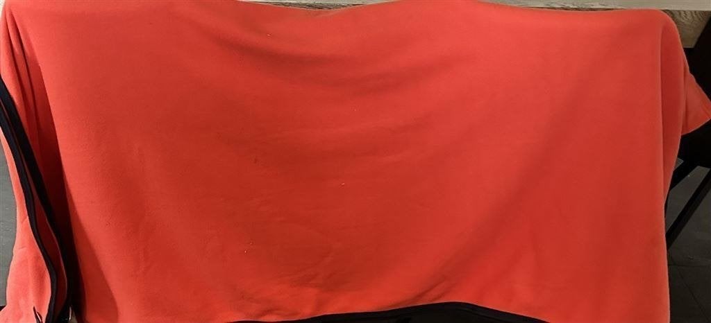 Zweetdeken Harry\'s Horse 165/200 Rood, Animaux & Accessoires, Chevaux & Poneys | Couvertures & Couvre-reins, Neuf, BR, Enlèvement ou Envoi